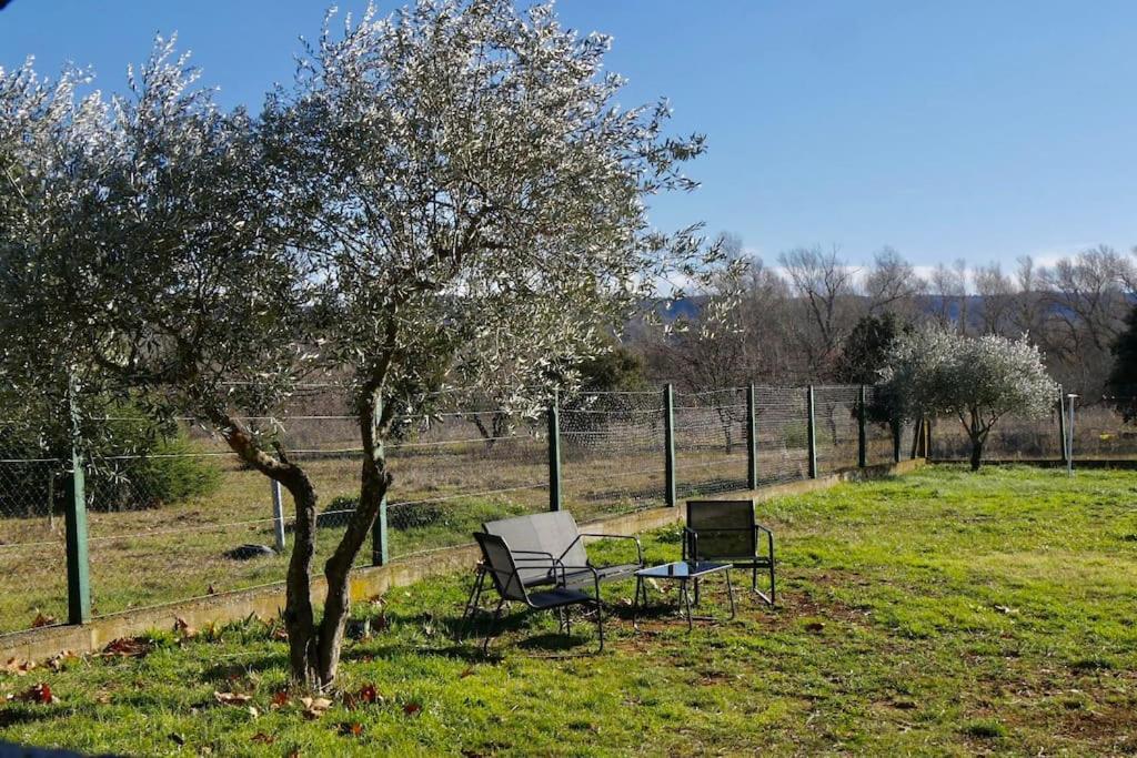Soleil D'Ocre - Bastide A Roussillon Villa Roussillon en Isere Dış mekan fotoğraf